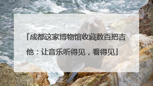 成都这家博物馆收藏数百把吉他：让音乐听得见，看得见