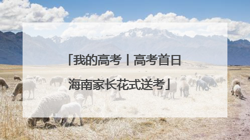 我的高考丨高考首日 海南家长花式送考