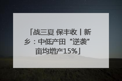战三夏 保丰收丨新乡：中低产田“逆袭” 亩均增产15%