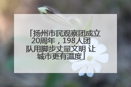 扬州市民观察团成立20周年，198人团队用脚步丈量文明 让城市更有温度