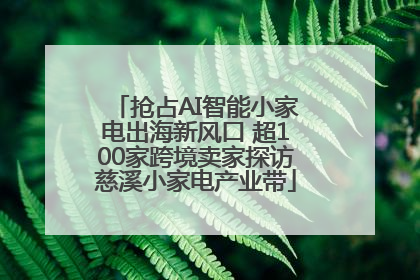 抢占AI智能小家电出海新风口 超100家跨境卖家探访慈溪小家电产业带