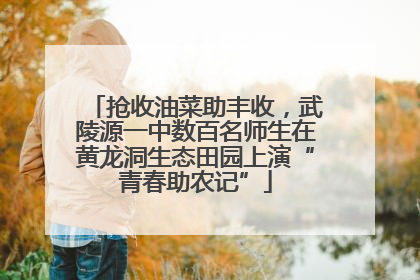 抢收油菜助丰收，武陵源一中数百名师生在黄龙洞生态田园上演“青春助农记”