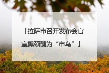 拉萨市召开发布会官宣黑颈鹤为“市鸟”