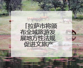 拉萨市将颁布全域旅游发展地方性法规 促进文旅产业大发展