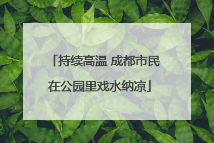 持续高温 成都市民在公园里戏水纳凉