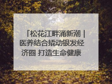 松花江畔涌新潮｜医养结合撬动银发经济圈 打造生命健康产业新样本