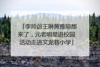 李玲蔚王琳黄雅琼都来了，元老明星进校园活动走进文龙巷小学