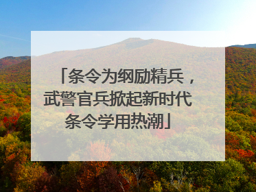 条令为纲励精兵，武警官兵掀起新时代条令学用热潮