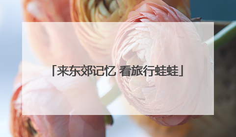 来东郊记忆 看旅行蛙蛙