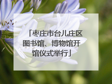 枣庄市台儿庄区图书馆、博物馆开馆仪式举行