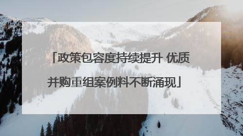 政策包容度持续提升 优质并购重组案例料不断涌现