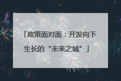 政策面对面：开发向下生长的“未来之城”