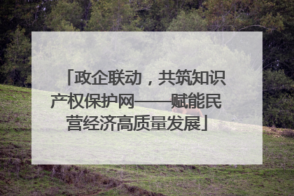 政企联动，共筑知识产权保护网——赋能民营经济高质量发展