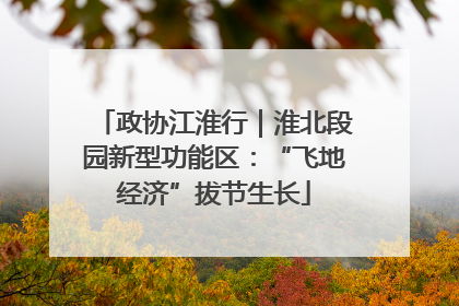 政协江淮行｜淮北段园新型功能区：“飞地经济”拔节生长