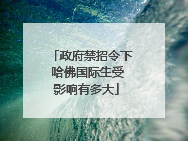 政府禁招令下 哈佛国际生受影响有多大