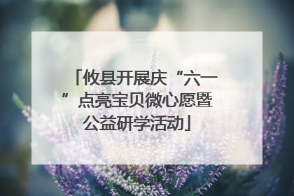 攸县开展庆“六一”点亮宝贝微心愿暨公益研学活动