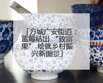 方城广安街道：蓝莓结出 “致富果” 绘就乡村振兴新图景
