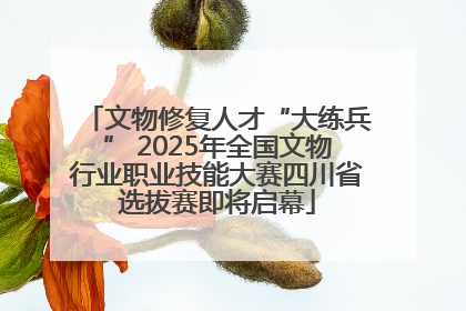 文物修复人才“大练兵” 2025年全国文物行业职业技能大赛四川省选拔赛即将启幕
