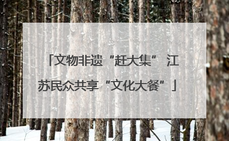文物非遗“赶大集” 江苏民众共享“文化大餐”