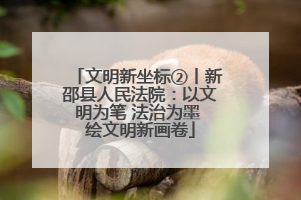 文明新坐标②丨新邵县人民法院：以文明为笔 法治为墨 绘文明新画卷