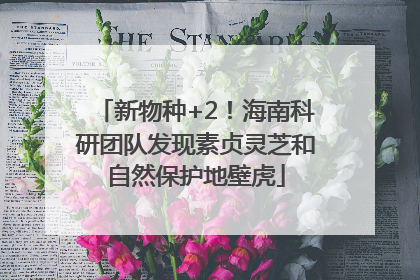 新物种+2！海南科研团队发现素贞灵芝和自然保护地壁虎