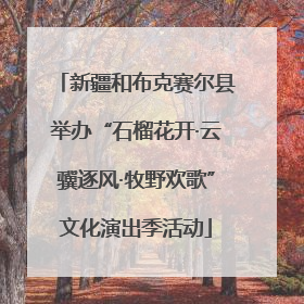 新疆和布克赛尔县举办“石榴花开·云骥逐风·牧野欢歌”文化演出季活动