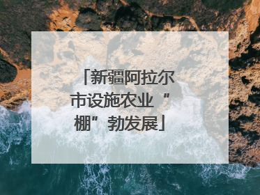 新疆阿拉尔市设施农业“棚”勃发展