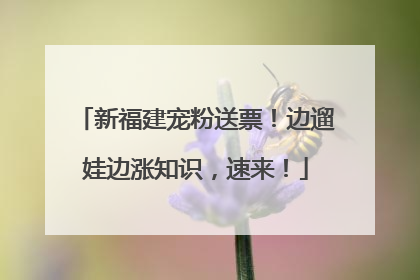 新福建宠粉送票！边遛娃边涨知识，速来！