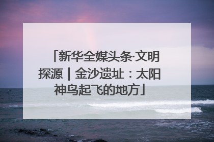 新华全媒头条·文明探源｜金沙遗址：太阳神鸟起飞的地方