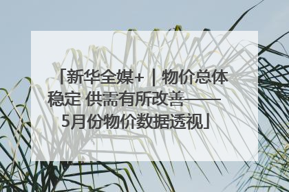 新华全媒+｜物价总体稳定 供需有所改善——5月份物价数据透视
