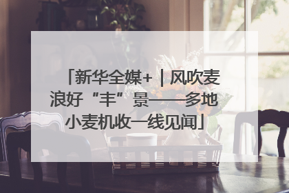 新华全媒+｜风吹麦浪好“丰”景——多地小麦机收一线见闻