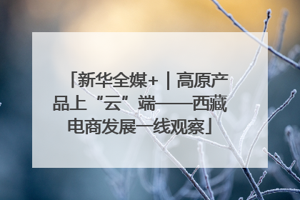 新华全媒+｜高原产品上“云”端——西藏电商发展一线观察