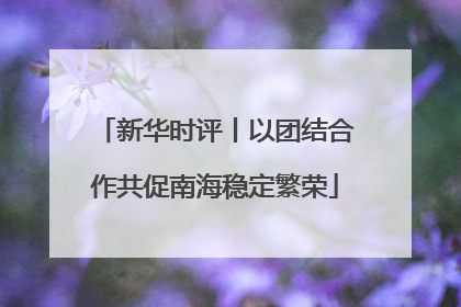 新华时评丨以团结合作共促南海稳定繁荣