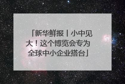 新华鲜报丨小中见大！这个博览会专为全球中小企业搭台