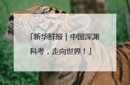新华鲜报｜中国深渊科考，走向世界！