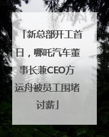 新总部开工首日，哪吒汽车董事长兼CEO方运舟被员工围堵讨薪