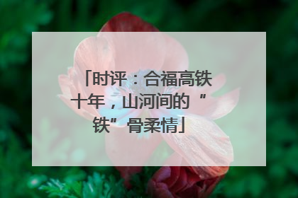 时评：合福高铁十年，山河间的“铁”骨柔情