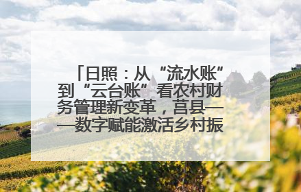日照：从“流水账”到“云台账”看农村财务管理新变革，莒县——数字赋能激活乡村振兴“一池春水”