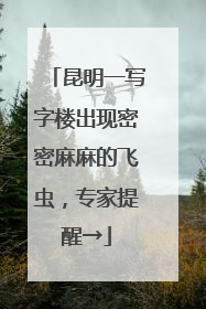 昆明一写字楼出现密密麻麻的飞虫，专家提醒→