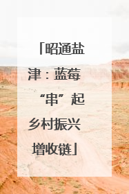 昭通盐津：蓝莓“串”起乡村振兴增收链