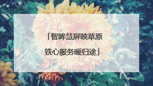 智眸慧屏映草原 铁心服务暖归途
