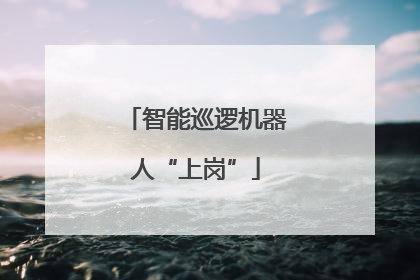 智能巡逻机器人“上岗”