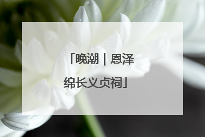 晚潮｜恩泽绵长义贞祠