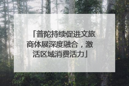 普陀持续促进文旅商体展深度融合，激活区域消费活力