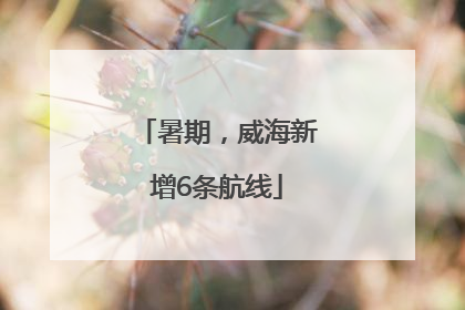 暑期，威海新增6条航线
