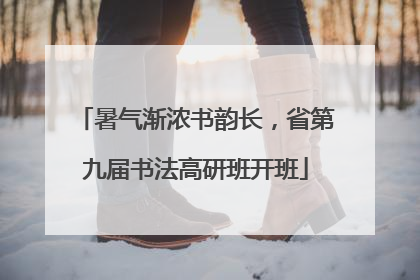 暑气渐浓书韵长，省第九届书法高研班开班