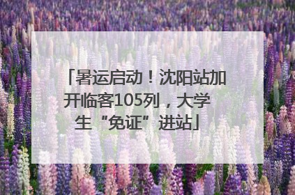 暑运启动！沈阳站加开临客105列，大学生“免证”进站