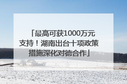 最高可获1000万元支持！湖南出台十项政策措施深化对德合作