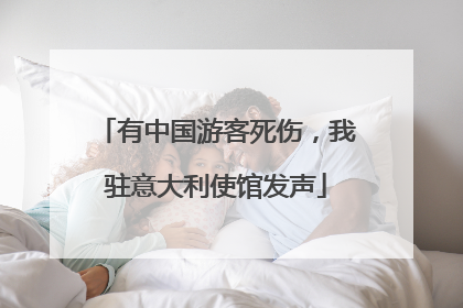 有中国游客死伤，我驻意大利使馆发声