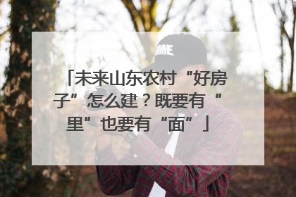 未来山东农村“好房子”怎么建？既要有“里”也要有“面”